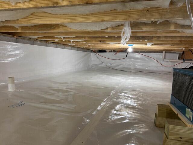 CleanSpace
