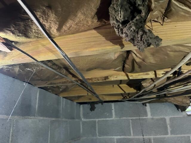 Crawl Space During Inspection