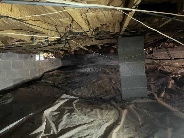Crawl Space Damage