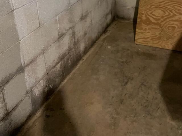 Basement During Inspection