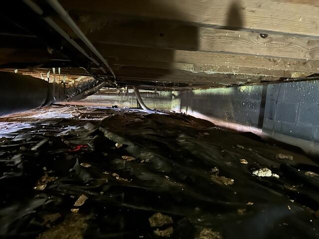 The Crawl Space Before
