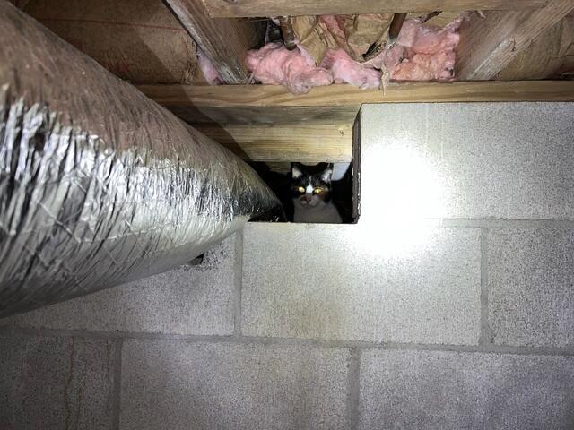 Wet Crawl Space in Morehead, KY