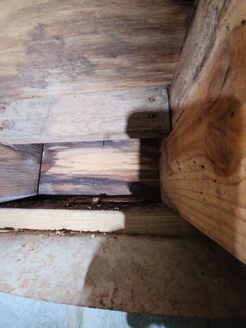 Wet Crawl Space Wood