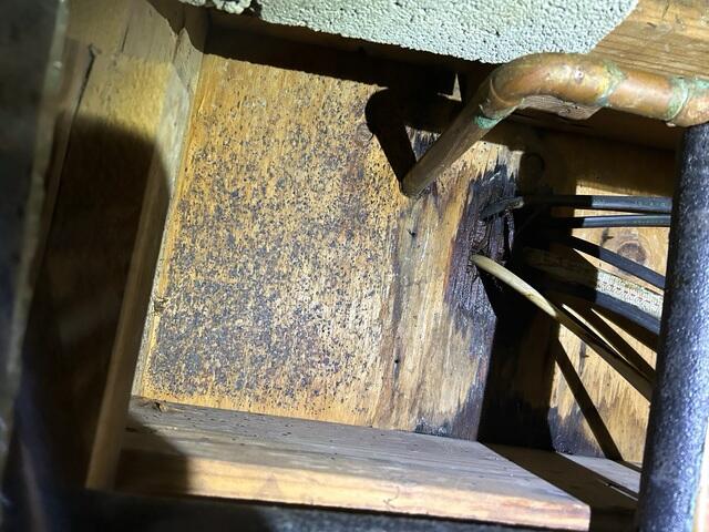 Mold Issues