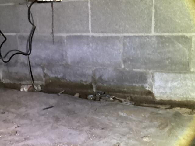 Moisture Issues