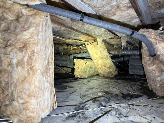 Crawl Space During Inspection