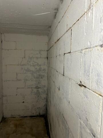 Basement During Inspection