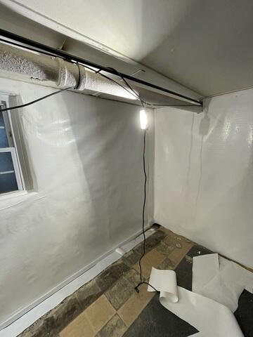 CleanSpace Liner