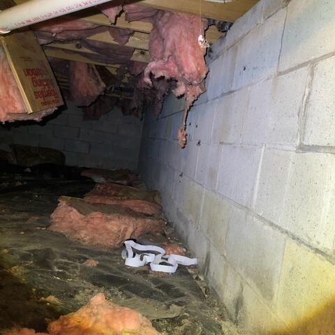 Crawl Space