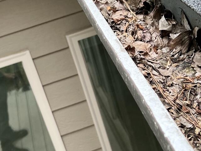 Clogger Gutters