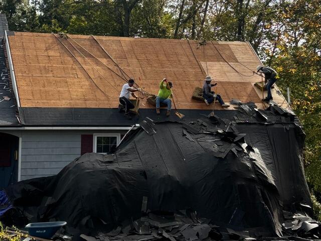 The Decking Is Examined