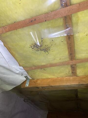 Fiberglass Doesn't Work in Crawl Spaces