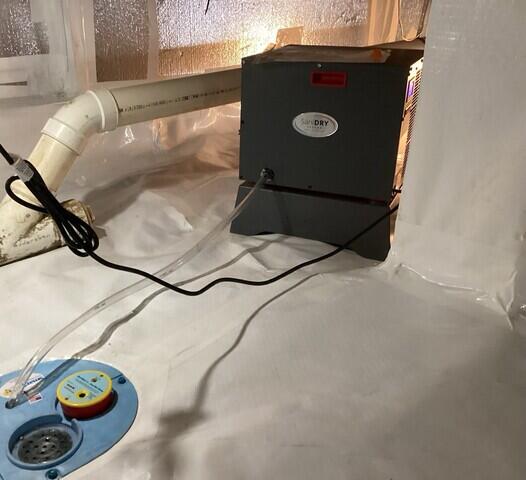 SaniDry Sedona Dehumidifier