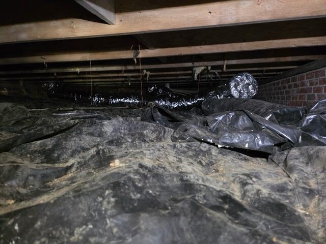 Bad Liner in the Basement