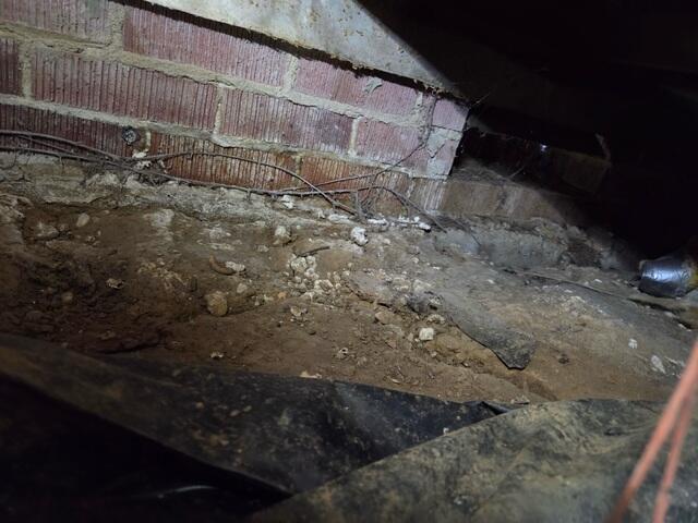 Excess Basement Moisture