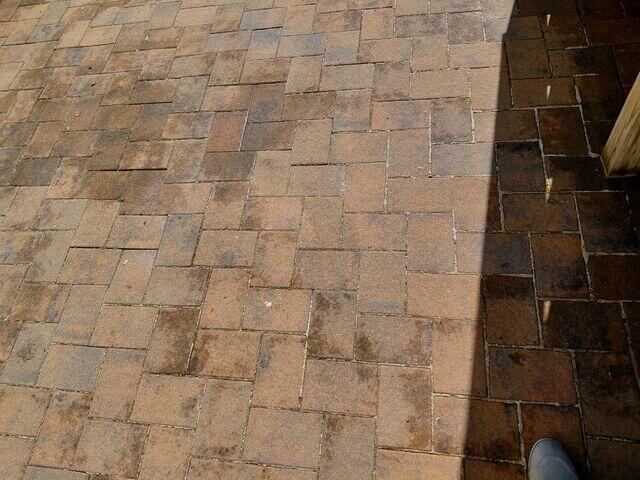 Paver walkway before cleaning