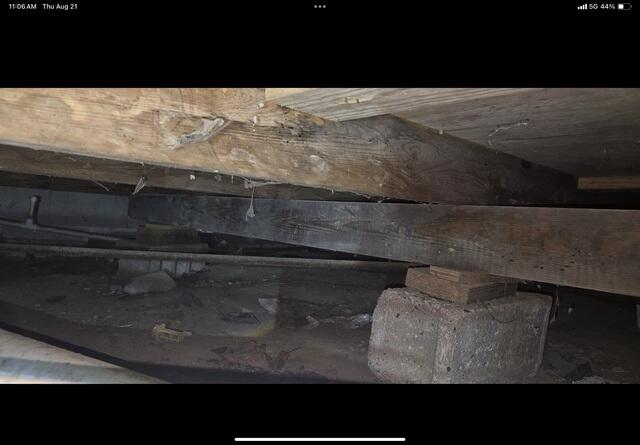 Saturated Crawl Space Wood