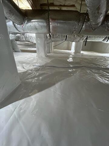CleanSpace Liner