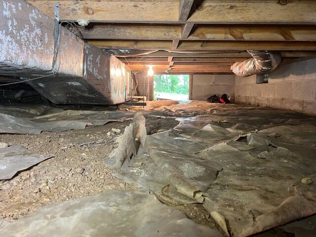 Nasty Crawl Space