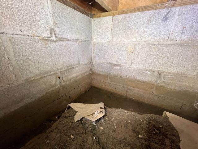 Water in the Crawl Space