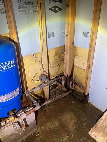 Damp, Rusted, and Unsafe Conditions