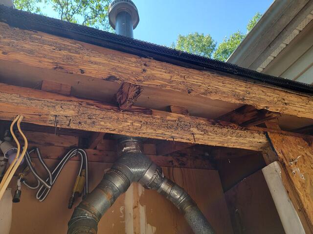 Extensive Termite Damage