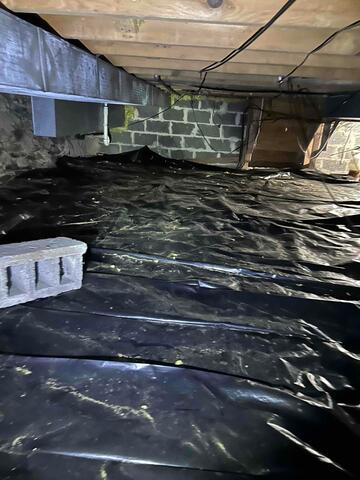Damp Crawl Space