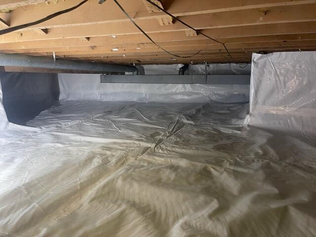 CleanSpace