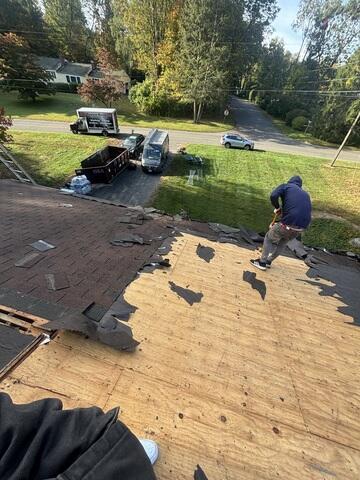 The Sheathing Is Exposed