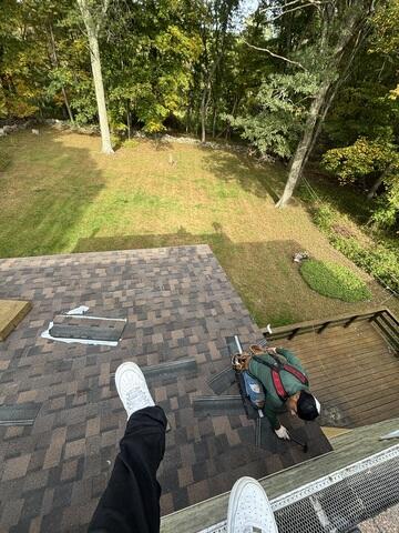 The New Shingles Go On