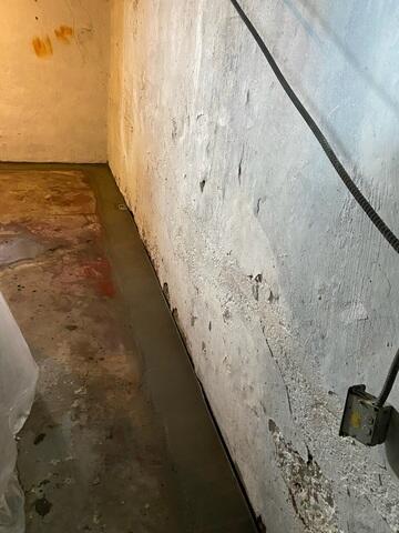 WaterGuard System