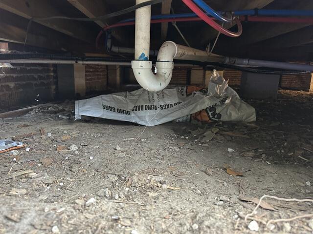 Encapsulation in Valdosta, GA