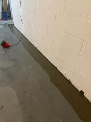 WaterGuard System