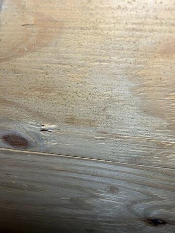 Mold on Floor Joists