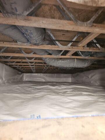 Crawlspace (Whole View)