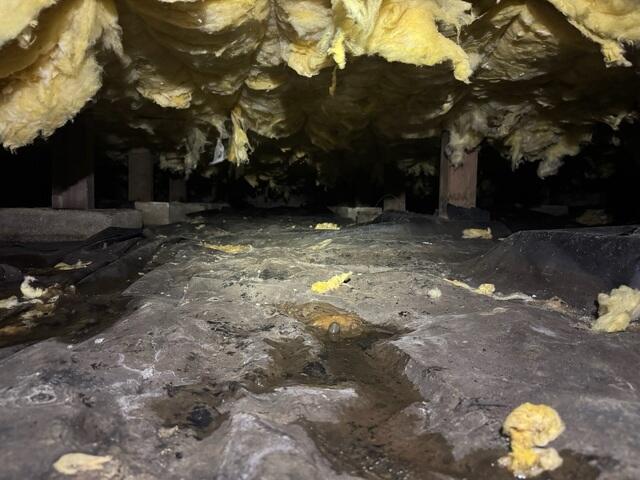 Moisture and Fallen Fiberglass
