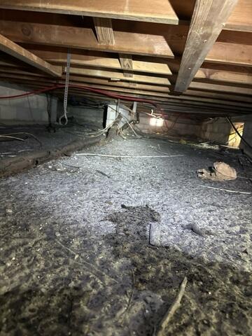 Crawl Space Inspection