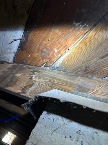 Crawl Space Moisture Damage