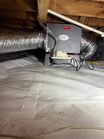 CleanSpace Dehumidifier