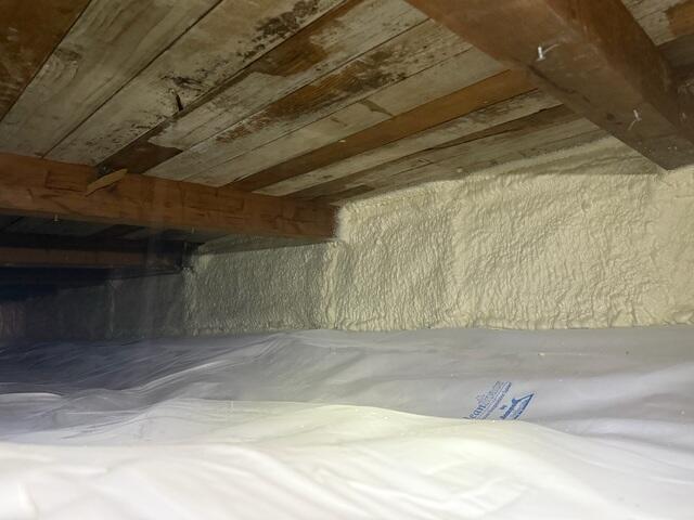 CleanSpace and Spray Foam