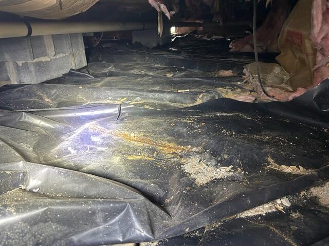 Damp Crawl Space