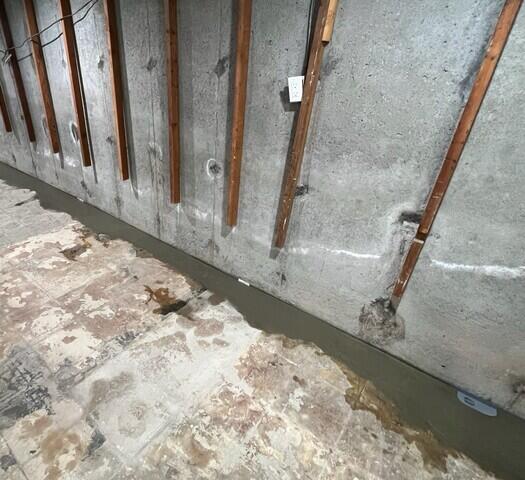 WaterGuard Drainage System & WaterGuard Port