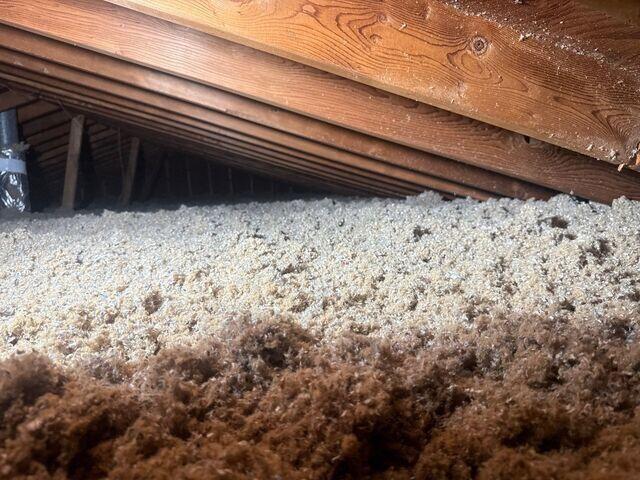 Trusoft Cellulose