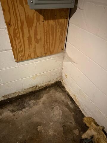 Signs of Water Damage