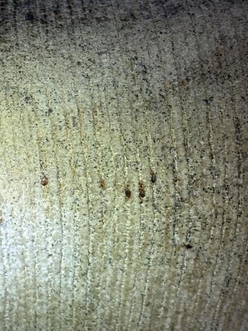 Throughout the Couch