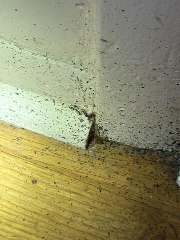 Floors, Walls, & More