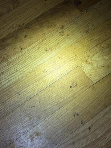 Until They Are Gone for Good