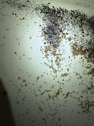 Worst We've Seen All Year