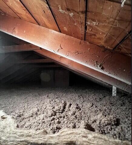 TruSoft Cellulose Installed