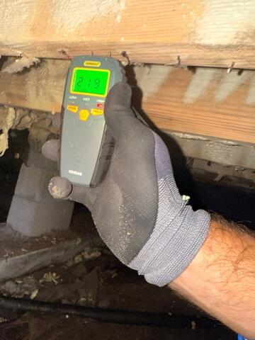 Excess Moisture Detected in Crawl Space